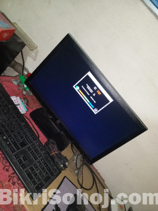 HP Monitor 19